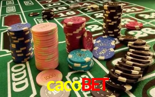 Apostas esportivas da cacobet com odds competitivas